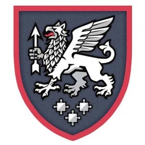 Шеврон ЗСУ 540 зенітний ракетний полк