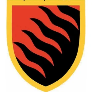 Шеврон ЗСУ 55 окрема артилерійська бригада ОК Схід