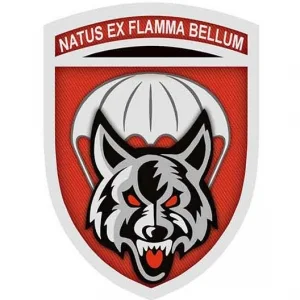 Шеврон ВСУ Natus ex flamma bellum